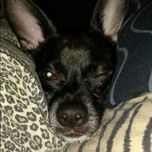 Meet your Posher, Shana